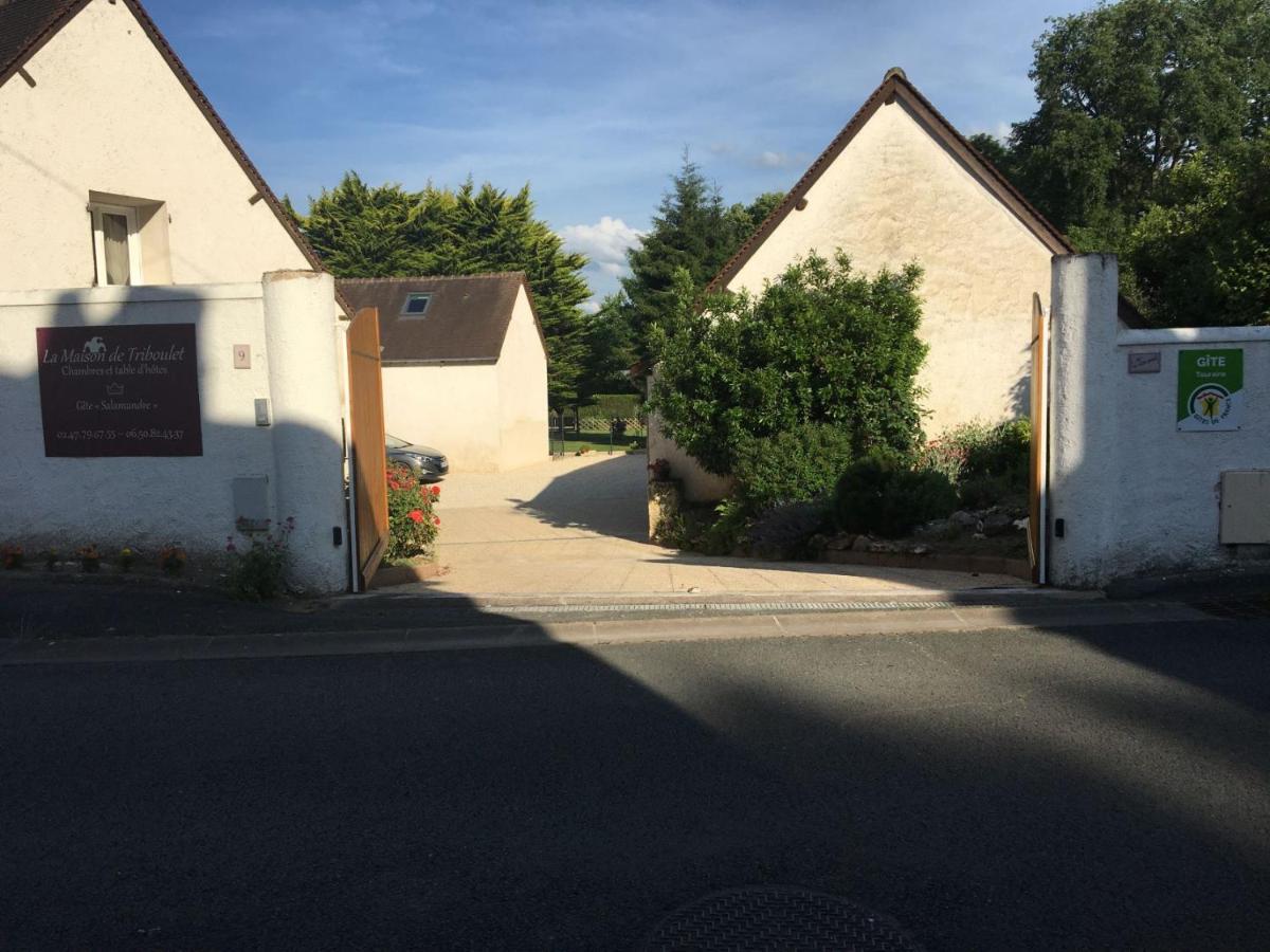 La Maison De Triboulet Chambres Et Table D'Hotes -Amboise- Poce-sur-Cisse Экстерьер фото